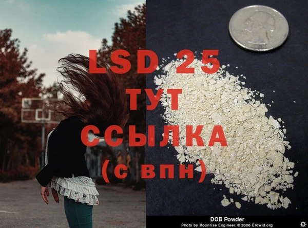 мескалин Магас