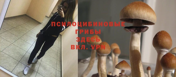 а пвп мука Магадан