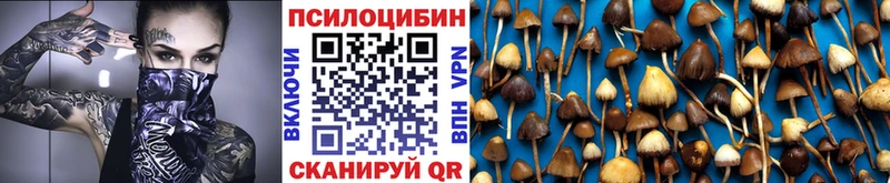 Галлюциногенные грибы Psilocybine cubensis  купить наркотики сайты  ссылка на мегу как войти  Циолковский 