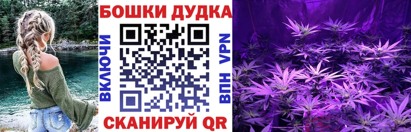Конопля Amnesia  Циолковский 